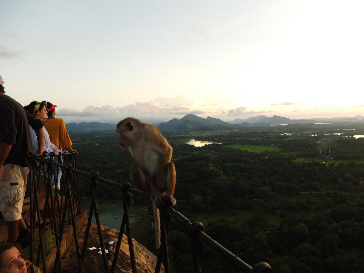 One More Night Hostel Sigiriya Exteriör bild