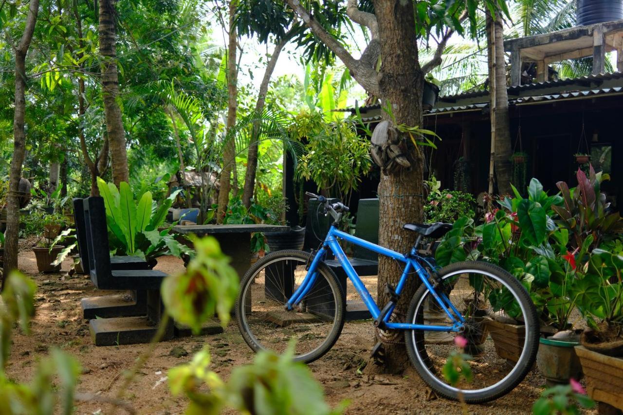 One More Night Hostel Sigiriya Exteriör bild