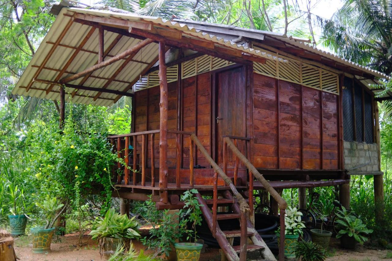 One More Night Hostel Sigiriya Exteriör bild