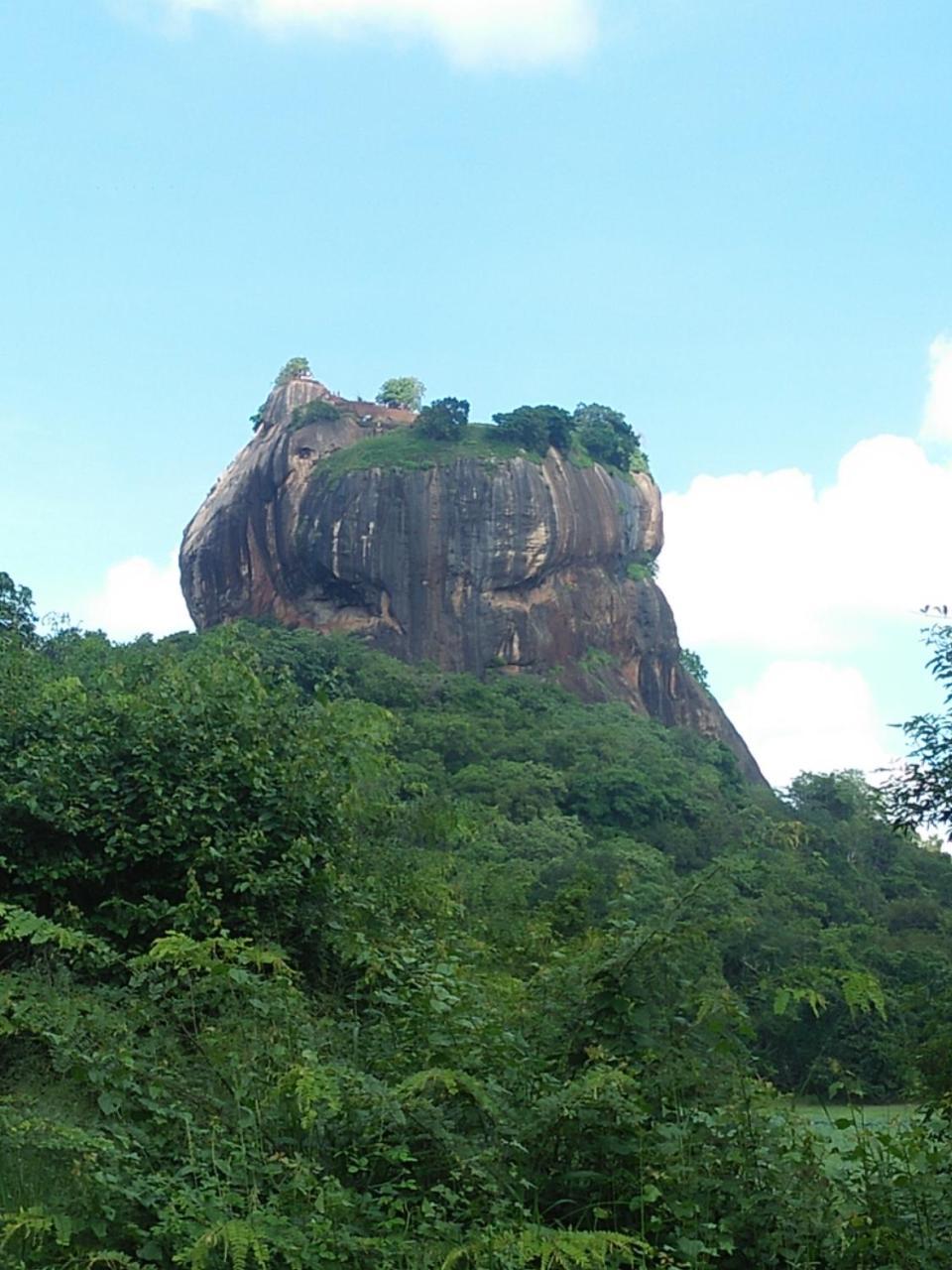 One More Night Hostel Sigiriya Exteriör bild